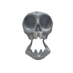 Skull Dock